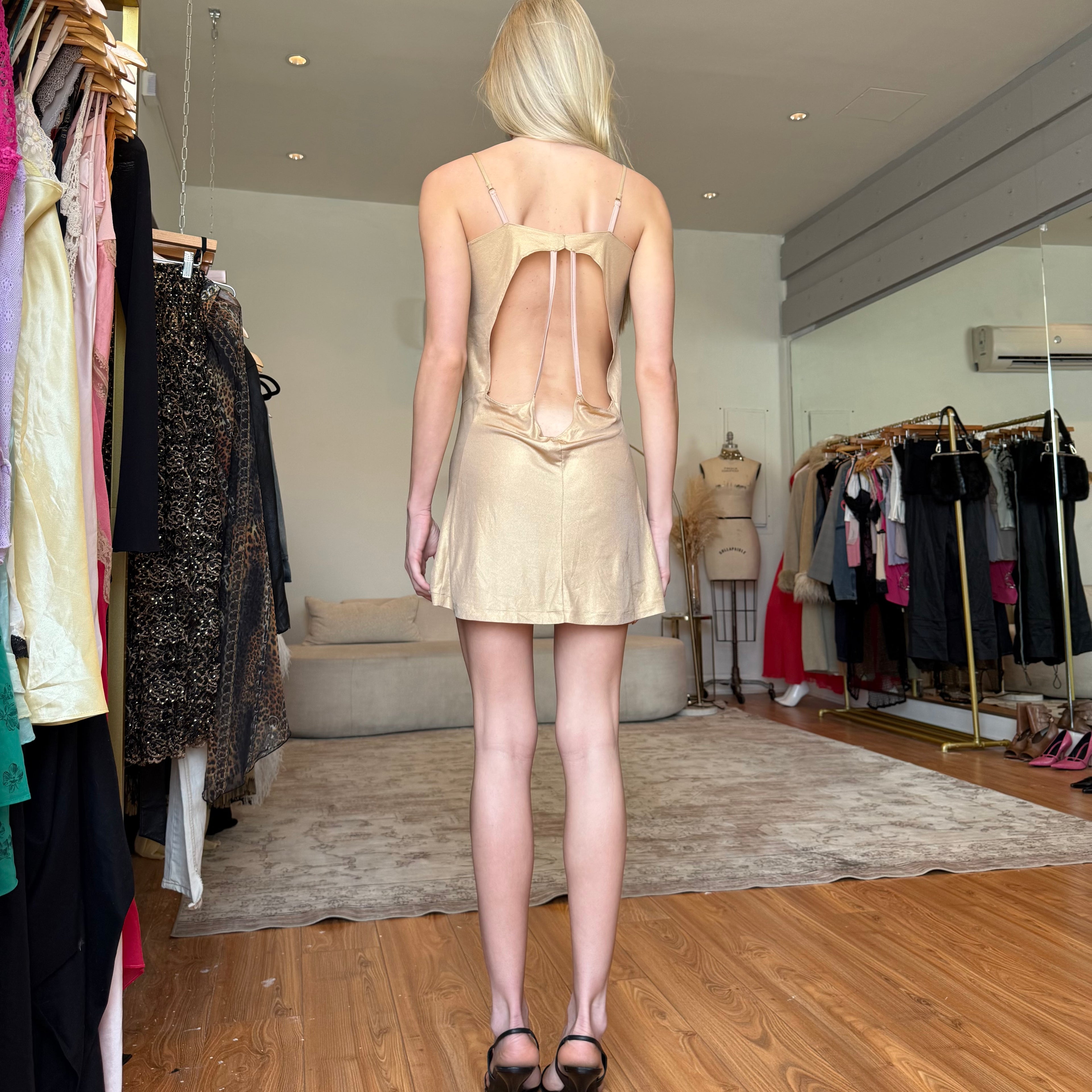 Vs dress